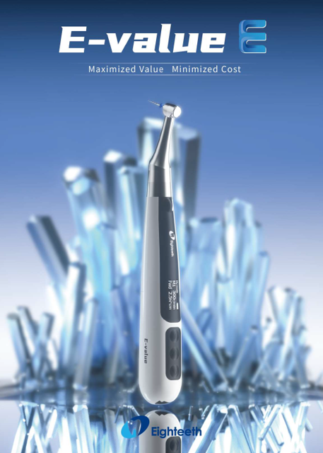 اندو موتور E - Value E